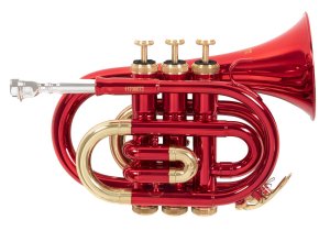 Кишенькова труба Roy Benson PT-101R Bb-Pocket trumpet