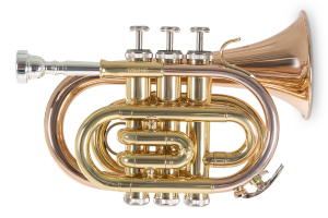 Кишенькова труба Roy Benson PT-101G Bb-Pocket trumpet