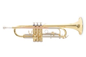 Труба Roy Benson TR-202 Bb-Trumpet