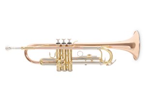 Труба Roy Benson TR-202G Bb-Trumpet